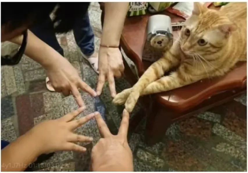 从期待到失望的搞笑表情包,假期结束努力搬砖了的表情包