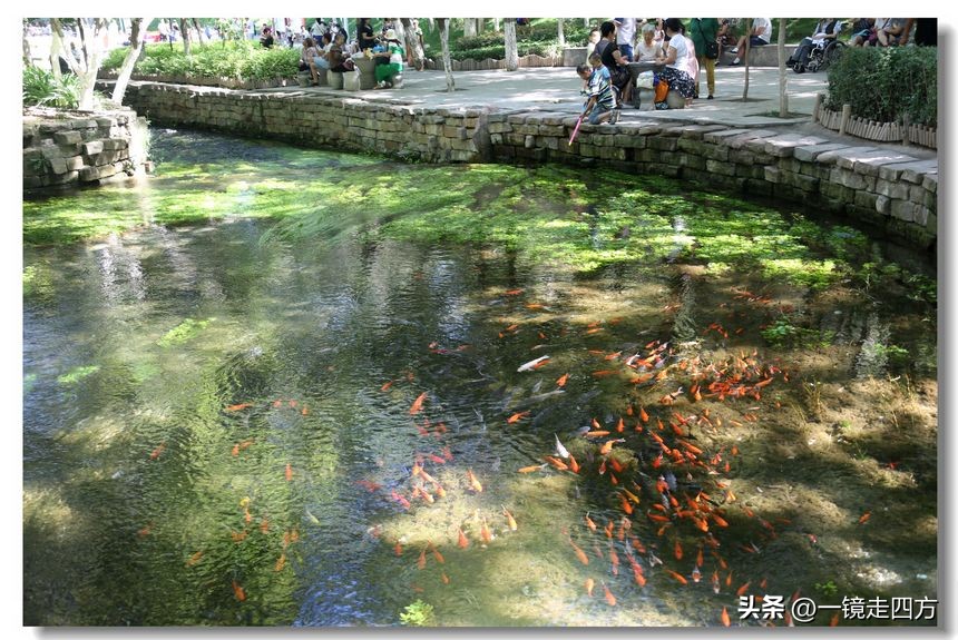 乌鲁木齐十大隐藏公园,乌鲁木齐最好的小绿谷公园