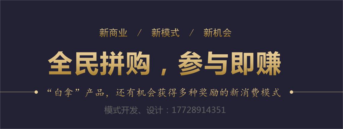 拼团社交电商运营策略有哪些,社交电商拼团玩法