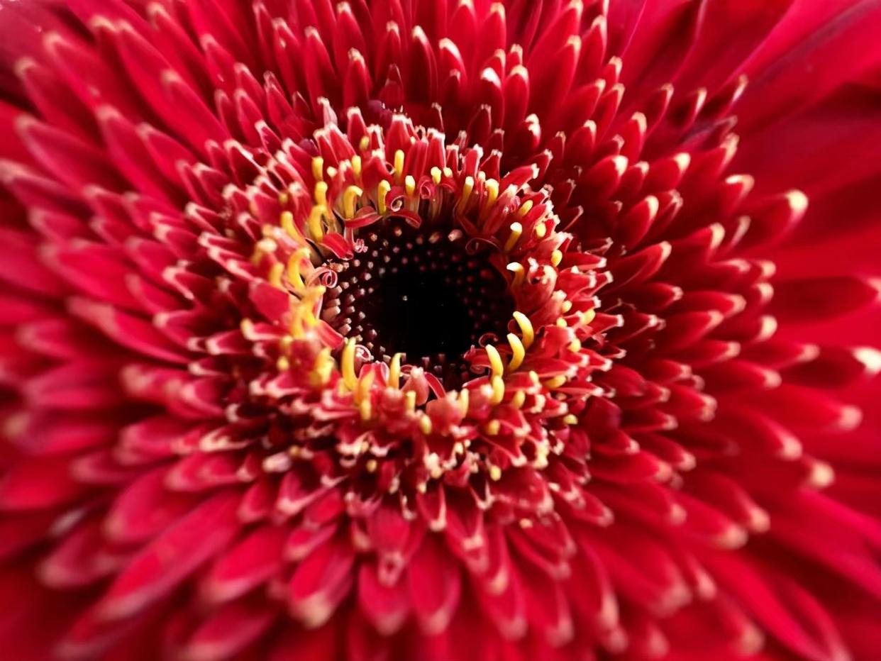 苹果iphone13全系将降价在哪买,苹果iphone13价格再创新低