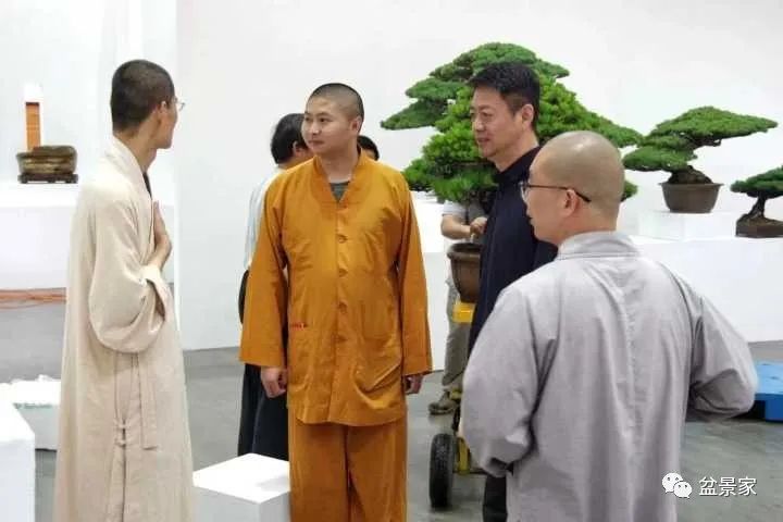 怎么入行盆景生意,花卉盆景生意