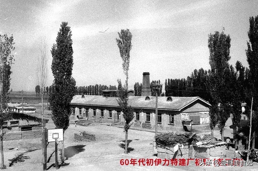 伊力特号称新疆茅台,伊力特和茅台哪个好