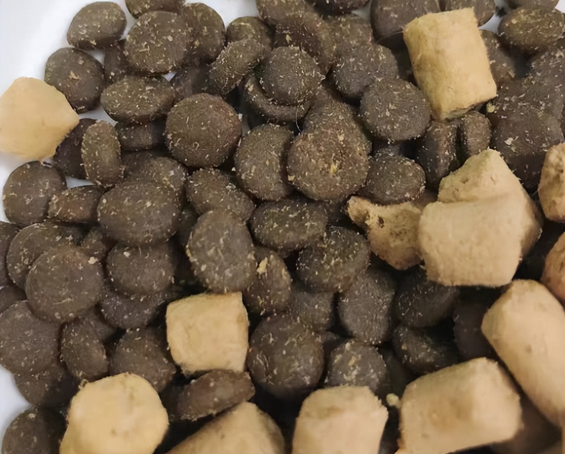 美国进口喵达全猫粮幼猫可以吃吗,喵达冻干猫粮怀孕的猫咪能吃吗