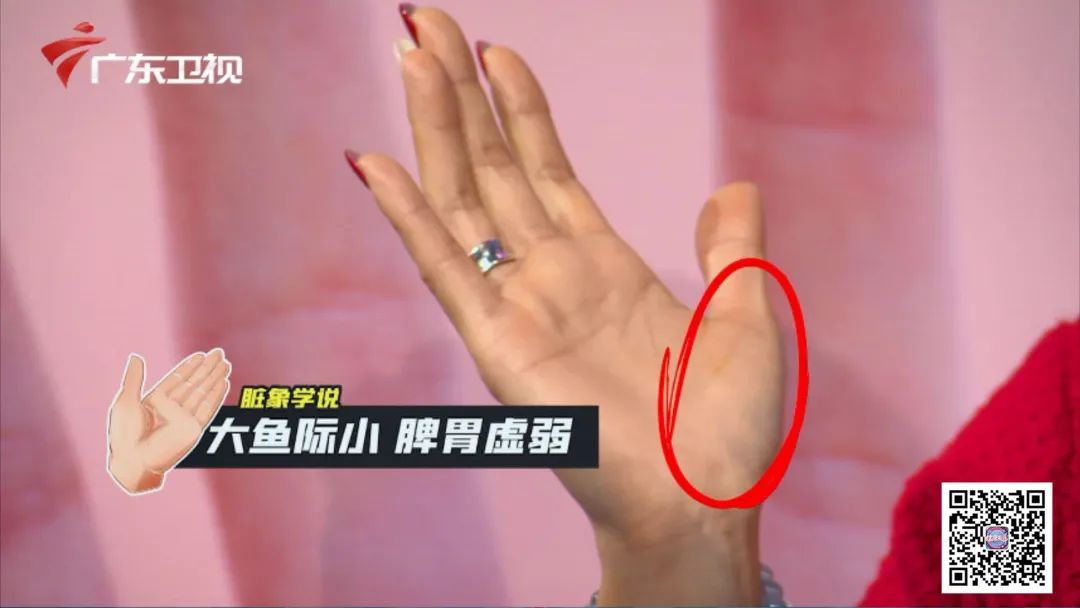 缓解脾胃湿气的香囊,心肝火旺脾胃不和怎么调理