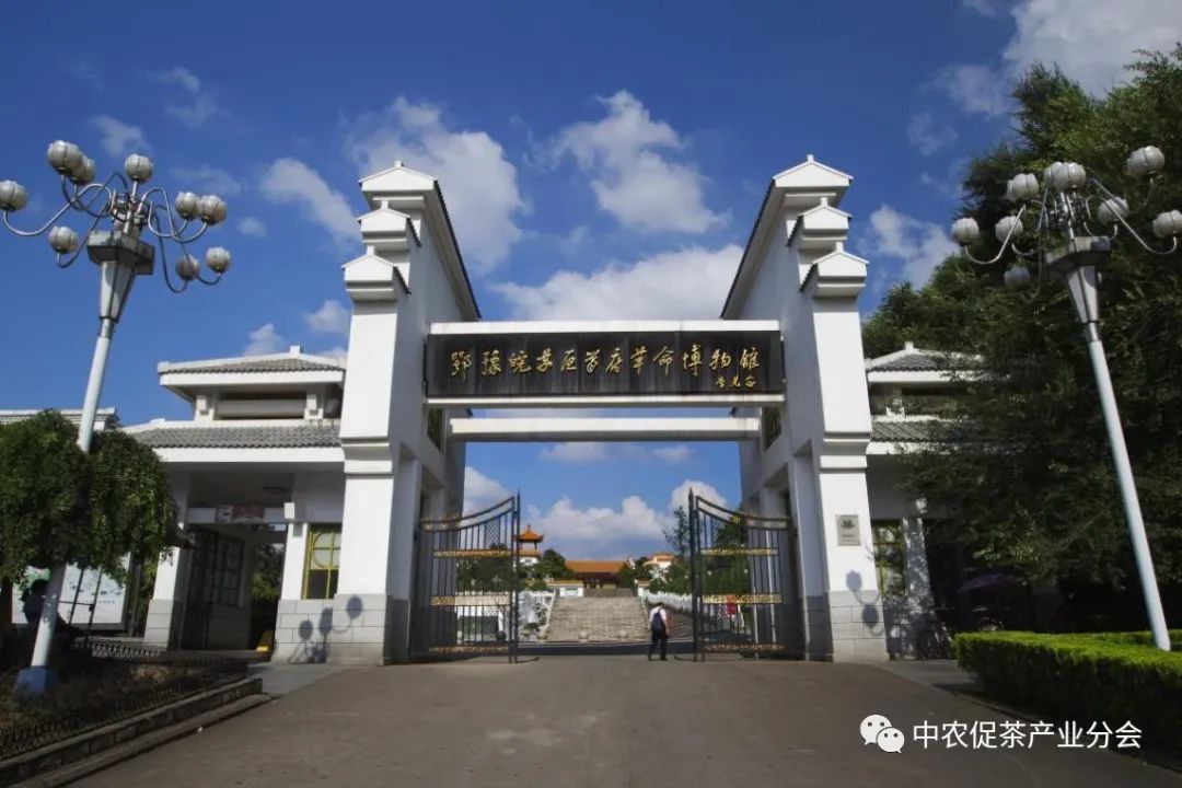 娌冲崡淇￠槼绾㈠煄鑼朵埂,鏂板幙绾㈠煄鑼朵埂