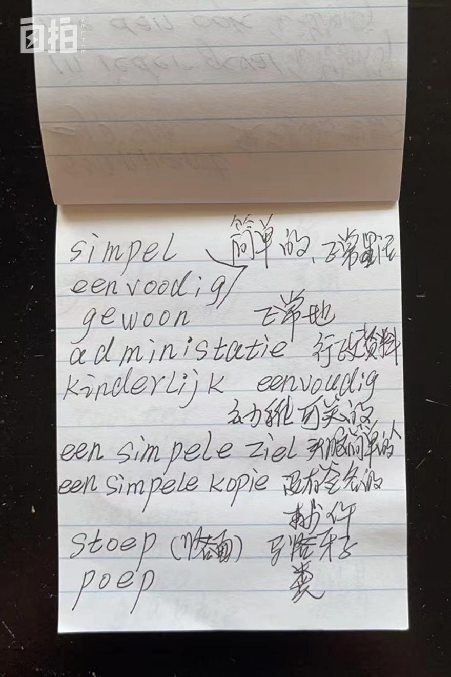 我,东北女老板,80年代万元户,年近50出国当保姆,嫁大21岁老外