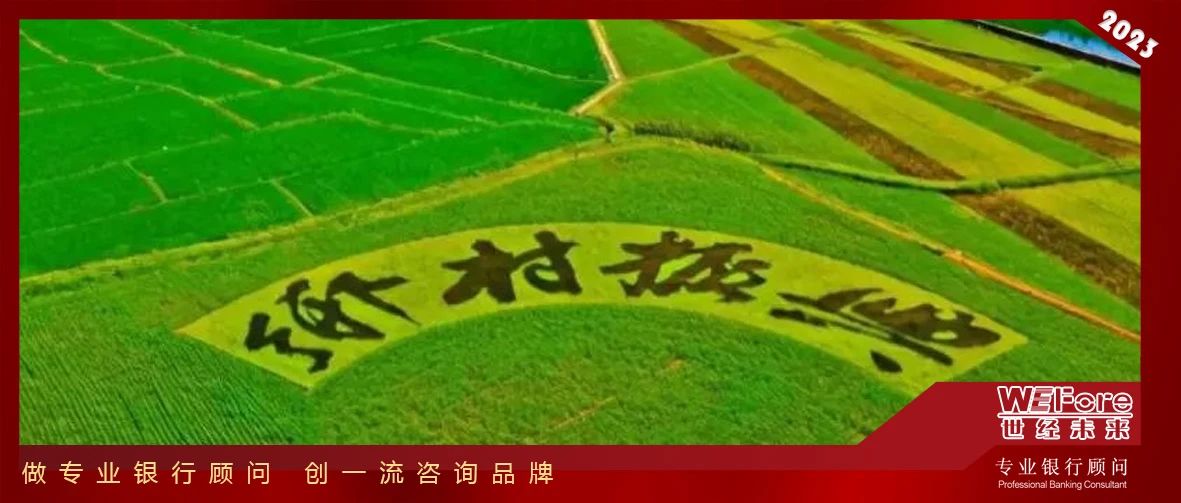 乡村振兴体育工作综述,乡村体育推进乡村振兴