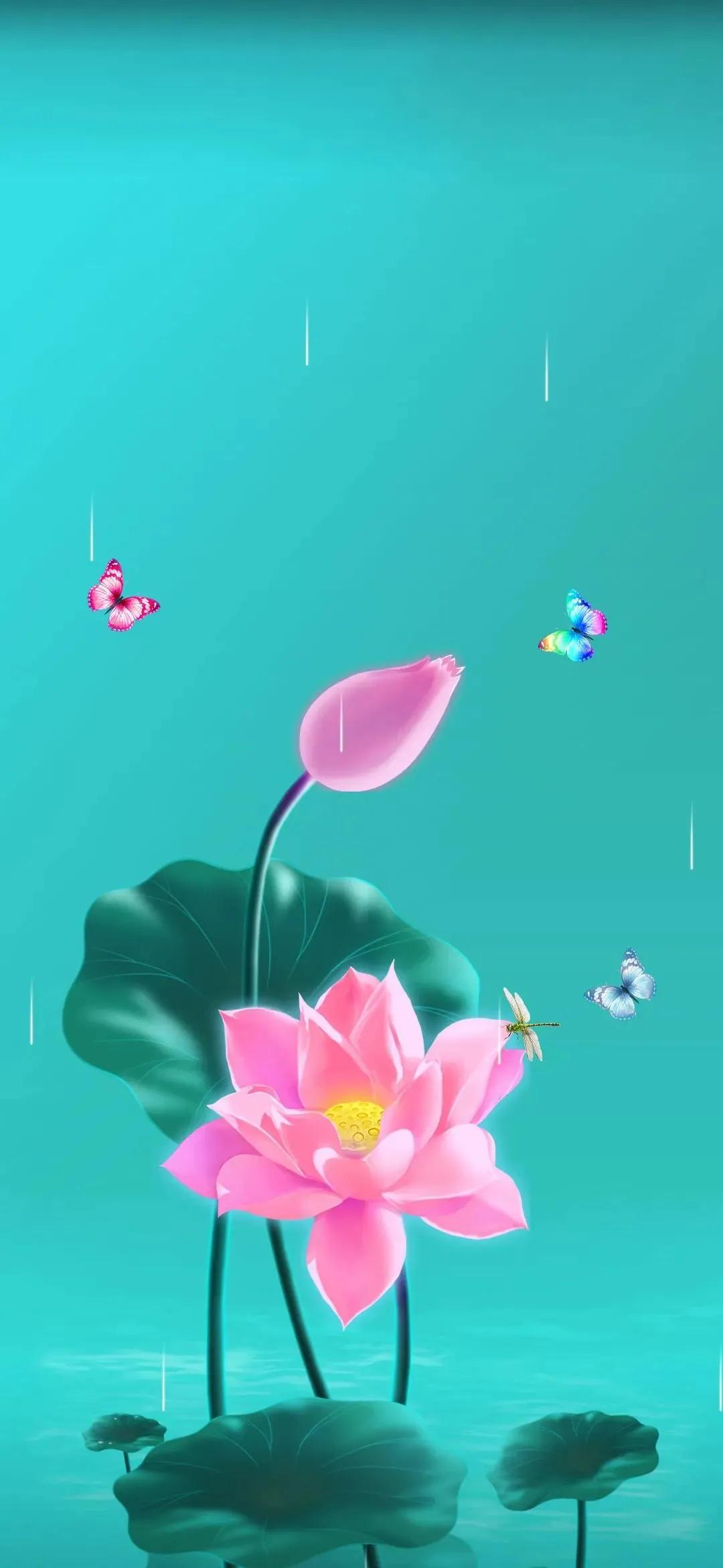 漂亮美丽的荷花壁纸,雨中荷花壁纸荣盛城