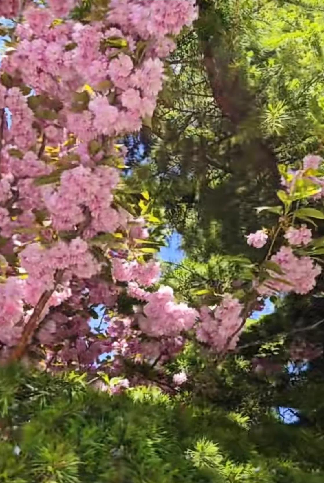 推荐三本超级耐看的古代言情小说,强烈推荐3本高分优质古代言情书