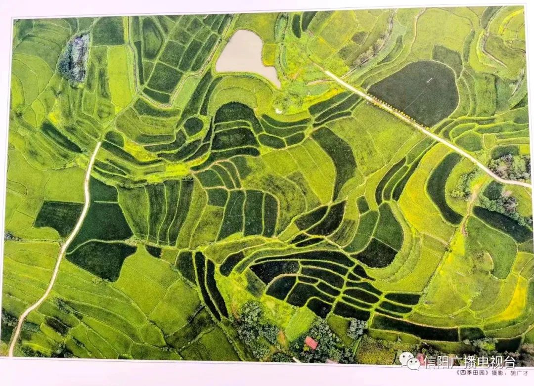 美翻天高清视频,美翻天