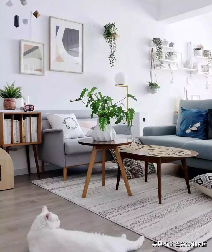 适合小夫妻住的两室一厅,90后小夫妻住30平米的房间吃什么