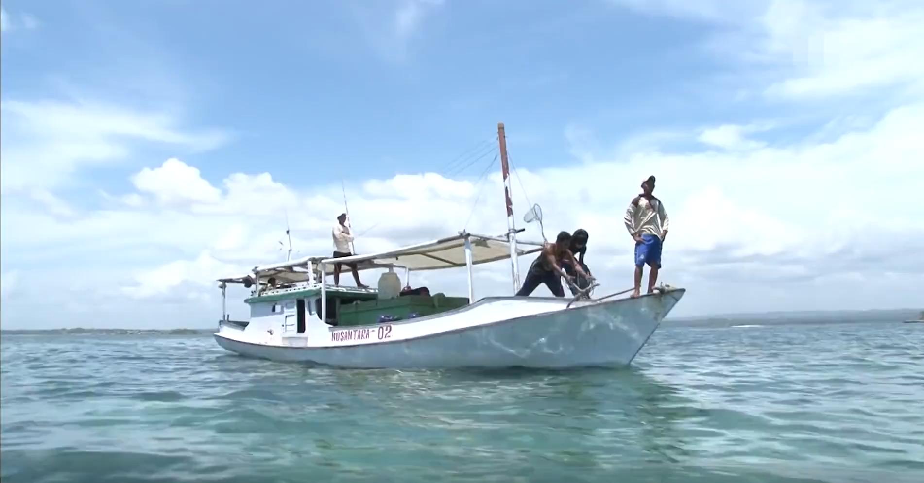 渔民捕获虎鲨,真实渔民钓到的虎鲨