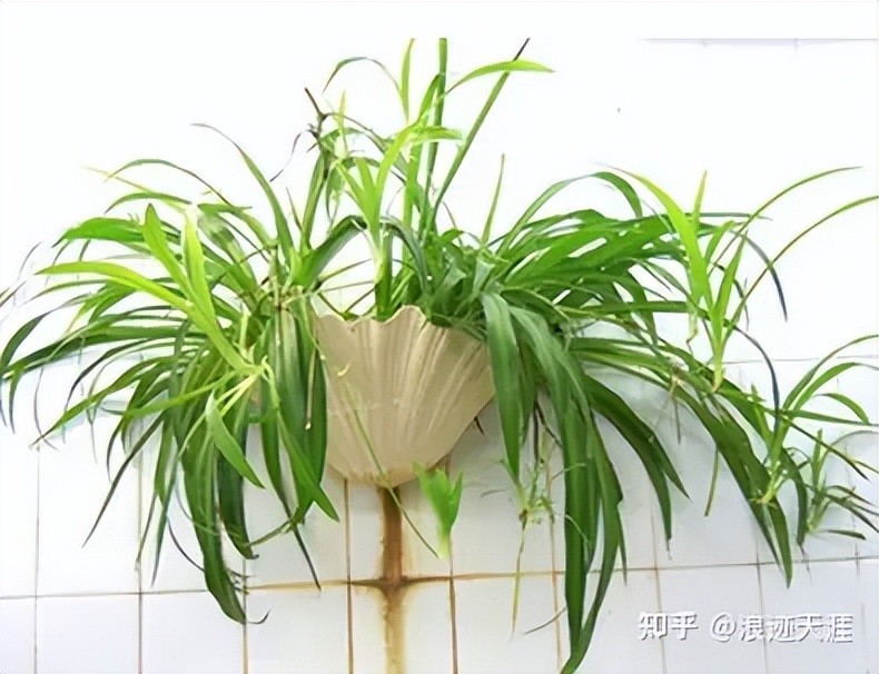 怎么去除房间的新家具异味,房间家具有异味最快解决方法