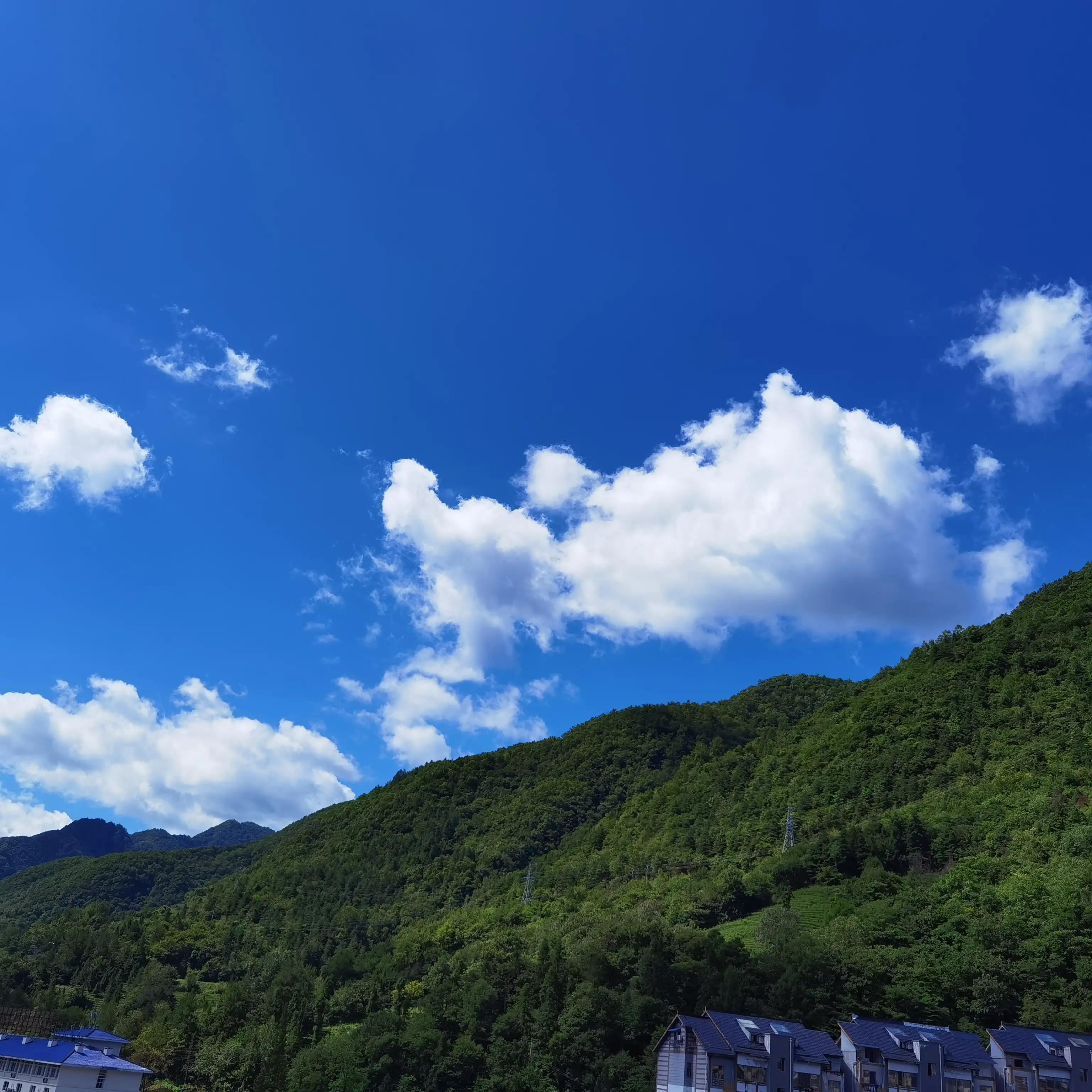 神农架木鱼镇老地方,神农架木鱼镇历史