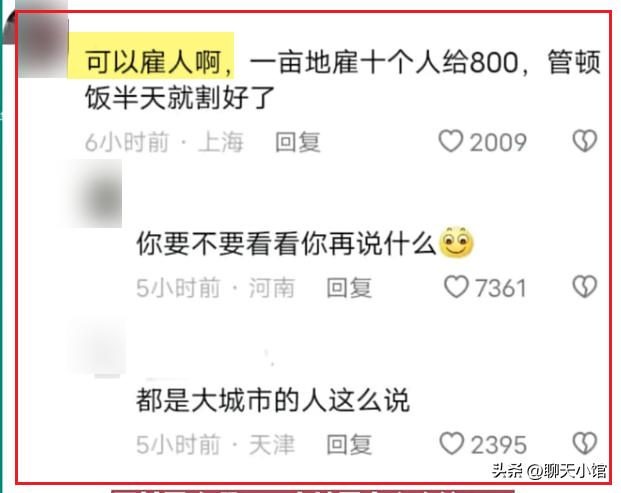 一张“农村小女孩帮忙麦收”照片惹众怒：收起你的傲慢与无知！