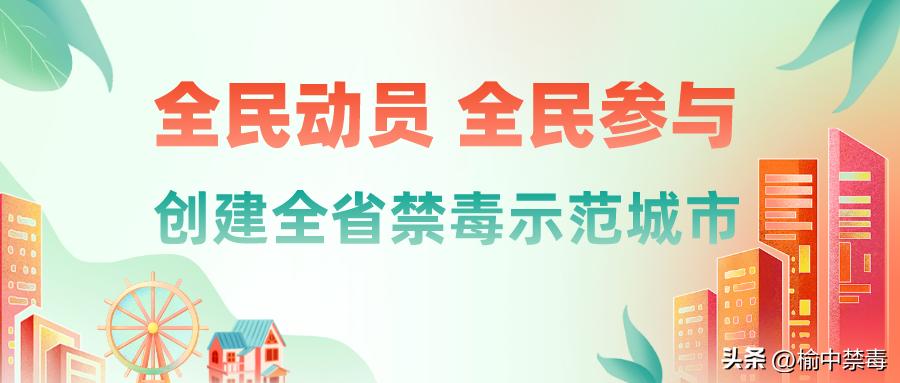 揭秘毒品的知识测试答案,揭秘毒品真相生命之痛