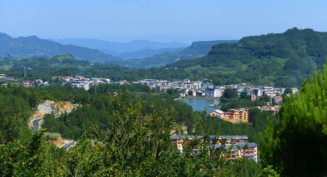 重庆乡村振兴示范村名单,重庆乡村一日游哪些地方好耍