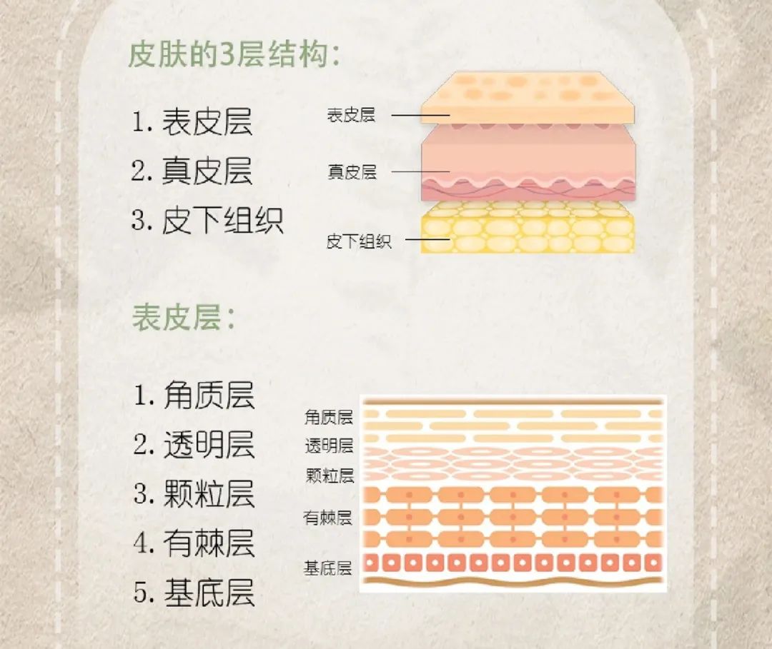 如何给皮肤补水这四招简单又有效,给皮肤补水不能踏入这些误区