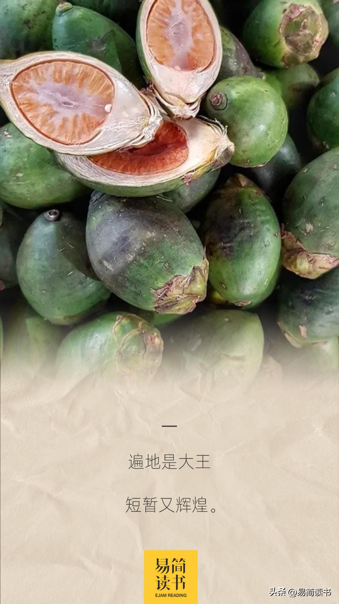 槟榔大王死亡之谜全集,槟榔大王殷素云后续