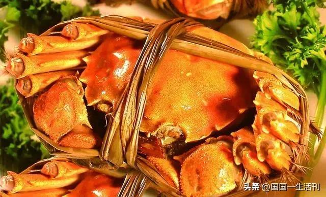 隔夜螃蟹和死螃蟹还能吃吗,死螃蟹不能吃为什么冷冻的可以吃