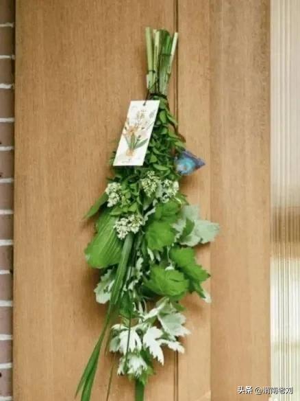 端午到了你准备艾草了吗,艾草只能在端午节买到吗