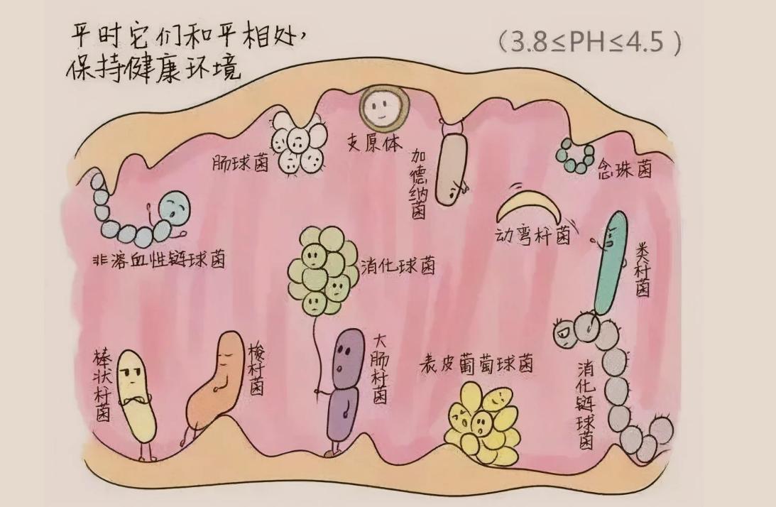 外阴总是很干怎么回事,外阴老是干是怎么回事