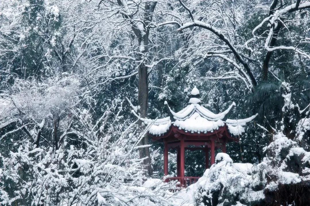 诗人笔下的雪合集,描写雪的绝美诗句