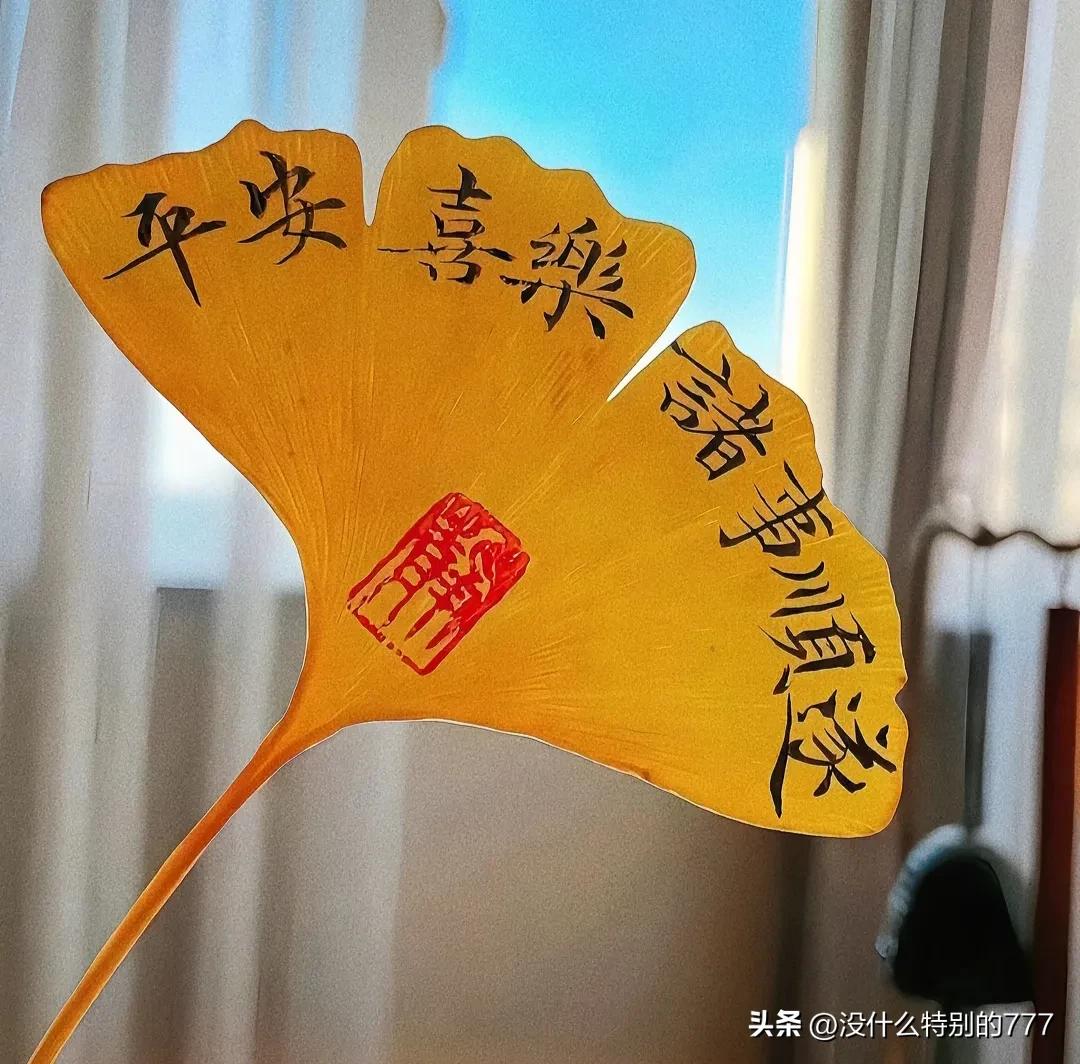 不考虑现实因素最理想的工作,如果不考虑职业你会做什么