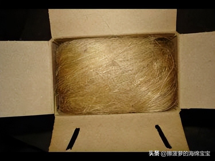 一战后期德国步兵武器装备,德国二战行军包