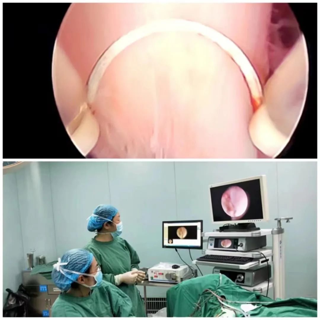 镜观其变作用是什么,镜观之变