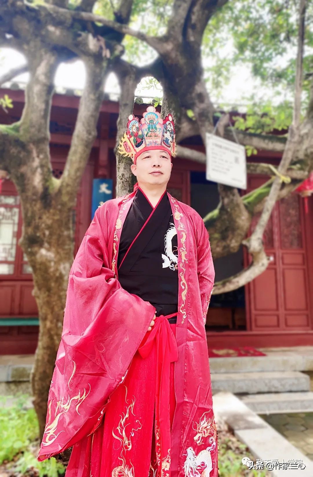 万一龙：以高维智慧，布世间大爱