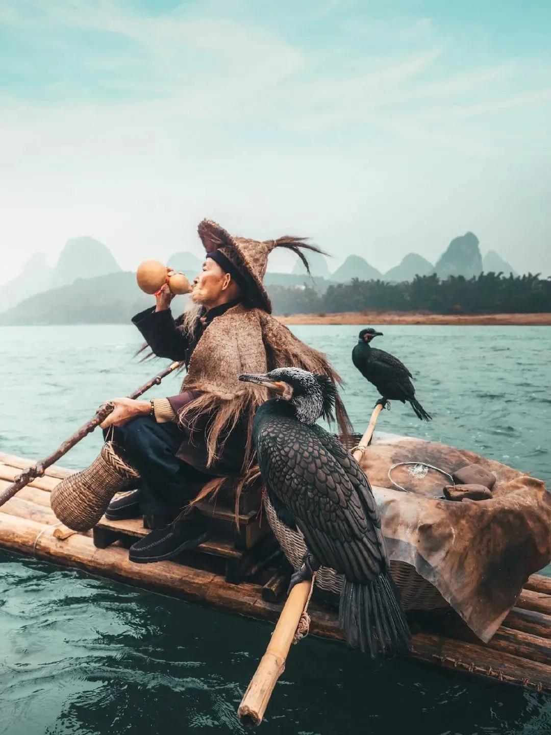 答孔庆东：鸬鹚捕鱼的新启示——资本家不是工人的“参天大树”