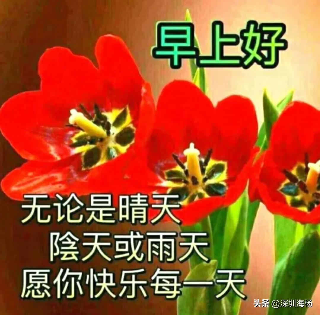 不能做一只在家躺平的猪,那就当一头生产队的驴吧