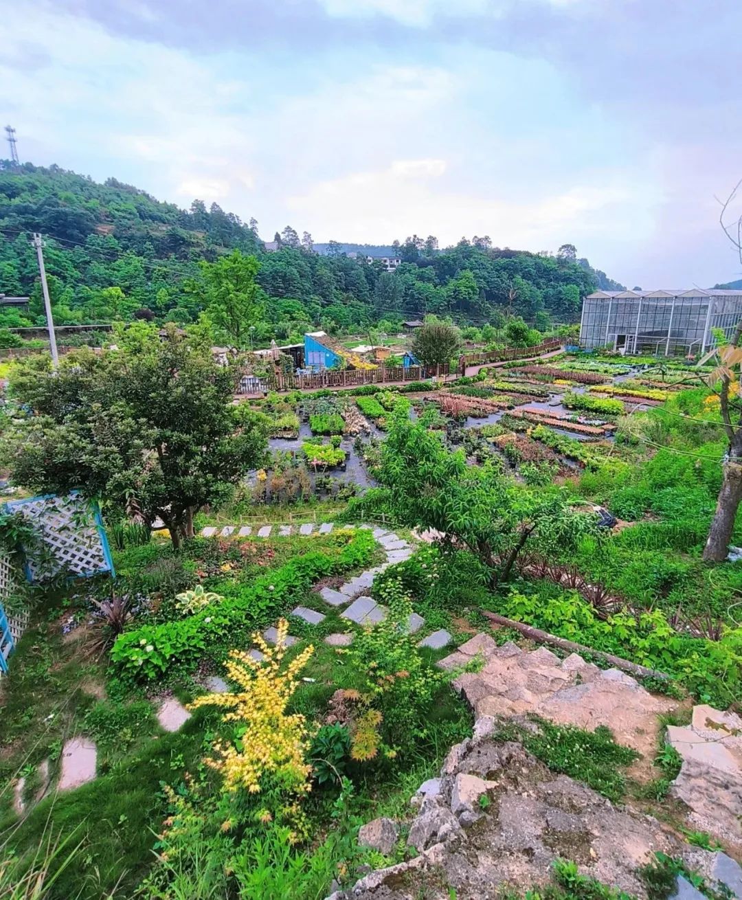 乌当区偏坡六月六民族风情节举行,偏坡旅游