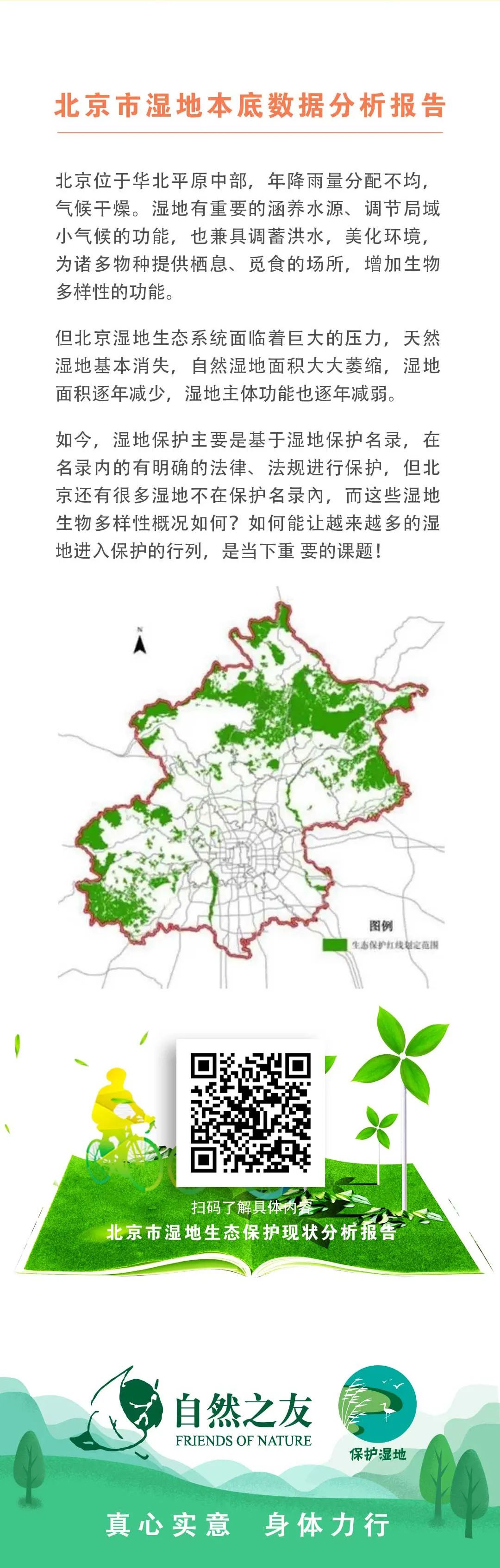 海洋生物蛞蝓品种大全,湿地蜗牛