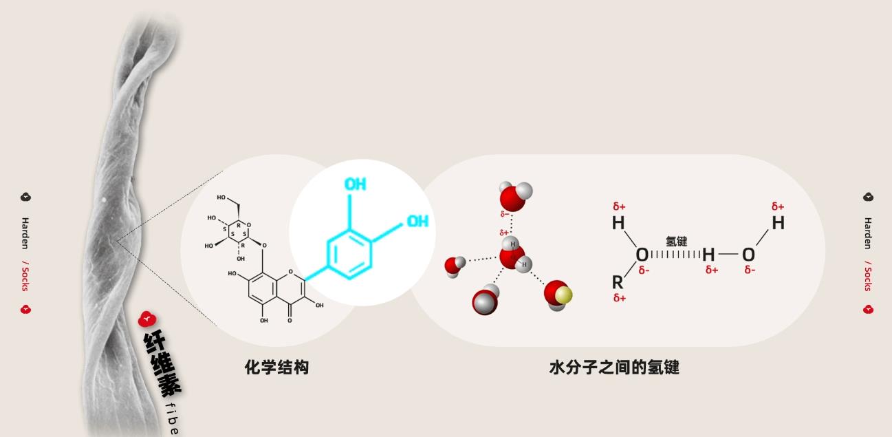 袜子洗了会变黄,袜子洗好晒干后变硬怎么办