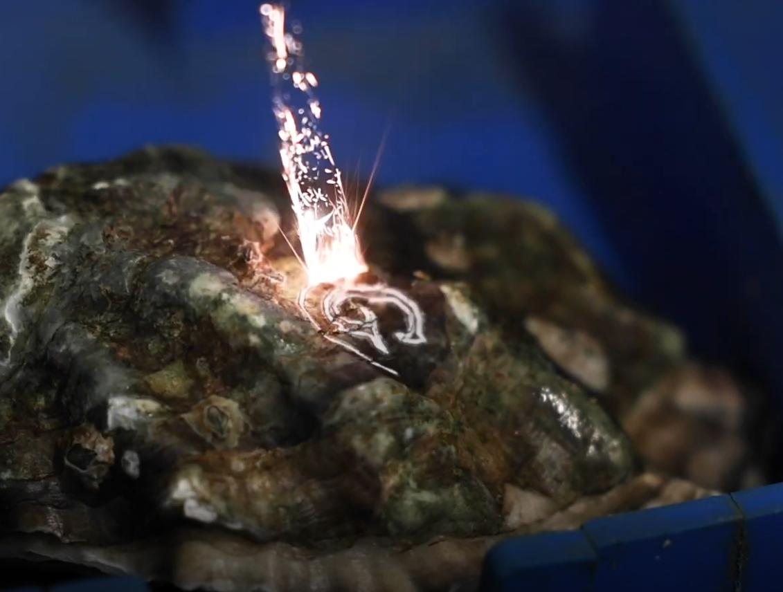 中国吃生蚝去哪里便宜,为什么有些生蚝撬壳卖那么便宜