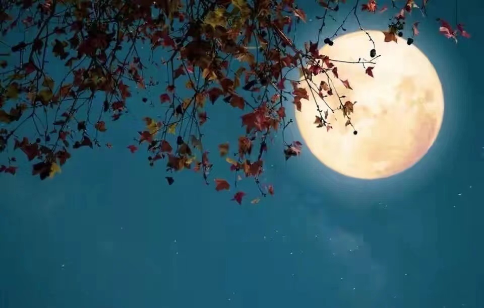 塑胶模具开发流程,塑胶模具入门教学