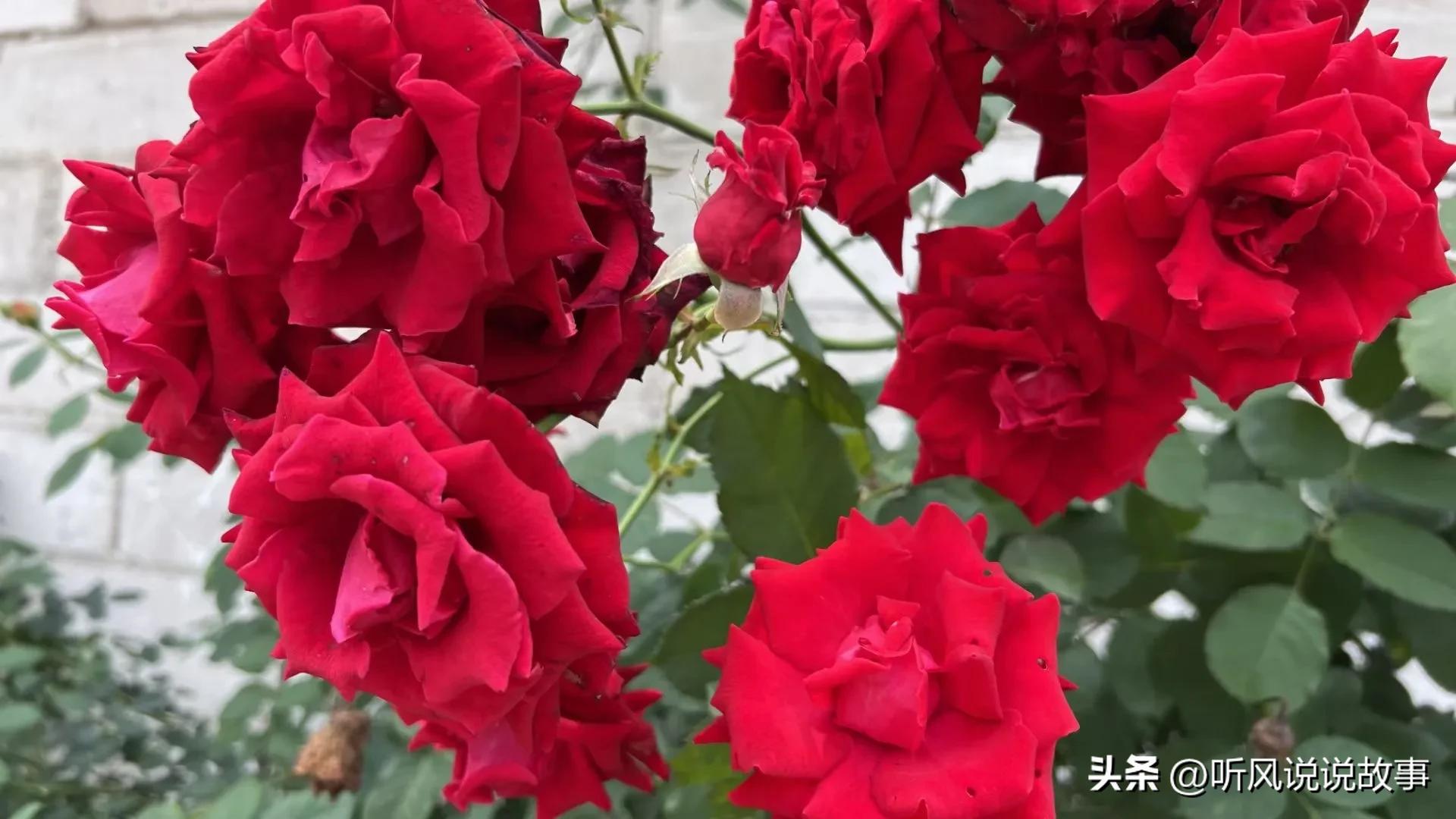 如何解决客户信赖感,培养客户忠诚的案例