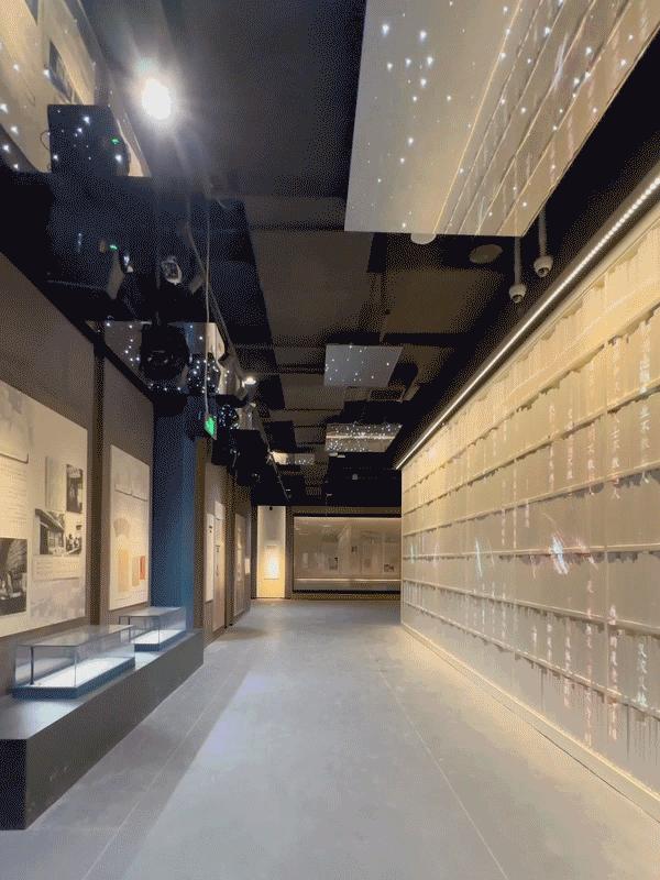 魔都自然博物馆,魔都的博物馆真的很有看头