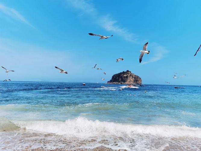 大连旅游旅行攻略,大连旅游攻略官方最新