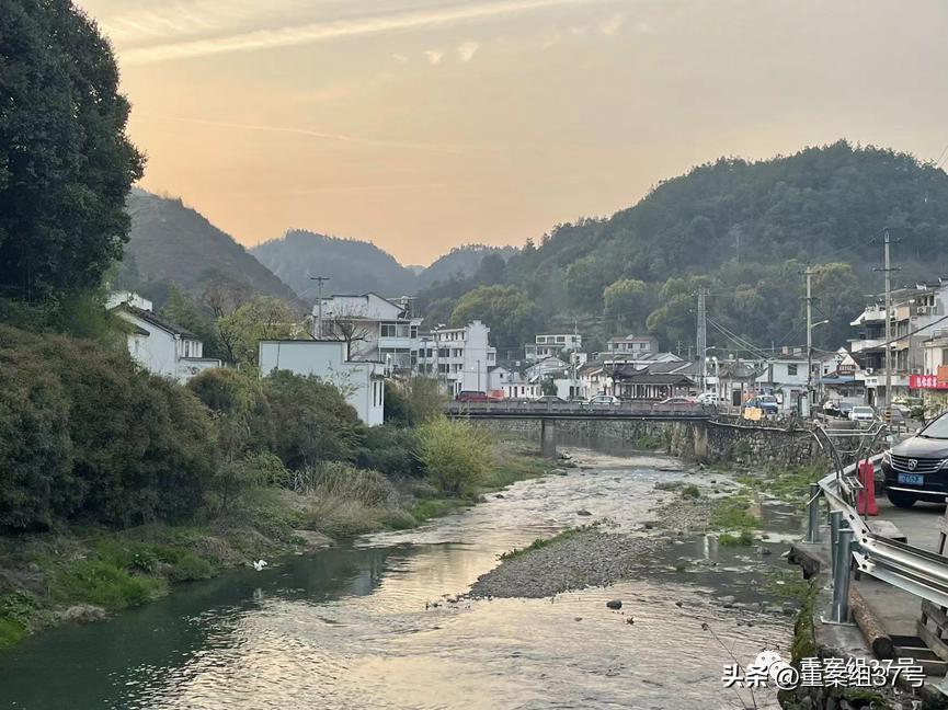 到乡野去：一所村小的自救与重生