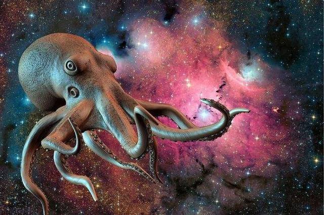 最新研究称章鱼或于5亿年前来到地球,为何总说章鱼是外星生物?