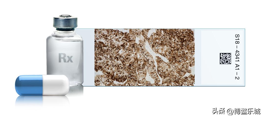 卵巢癌患者迎来靶向治疗新选择!创新药叶酸ADC及其伴随诊断试剂在乐城首用