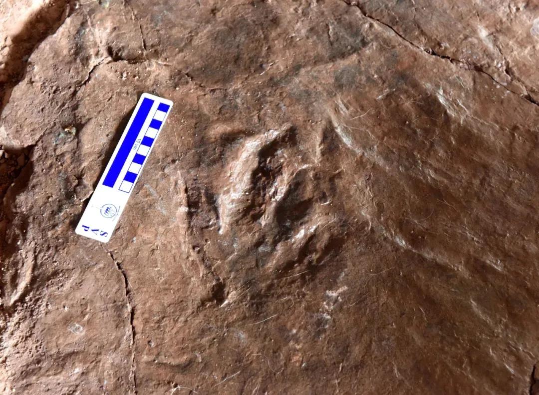 原来你是这样的金秘书,原来你是这样的顾先生电视连续剧