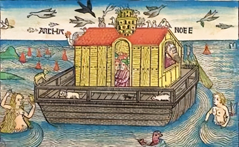 人鱼是怎样变成美人鱼的,丑人鱼变美长什么样子