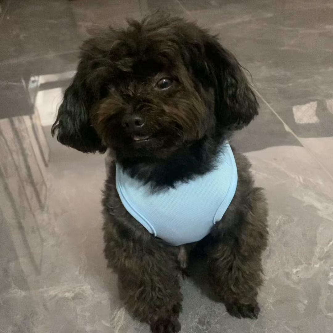 哈哈，真小气，想让他出点钱，太难了