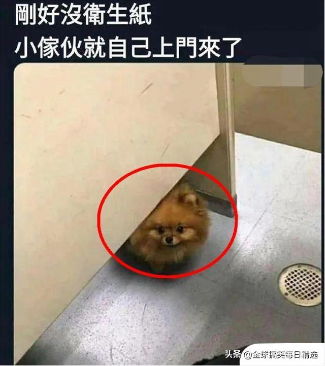 小熊暖水袋,立体小熊暖水袋