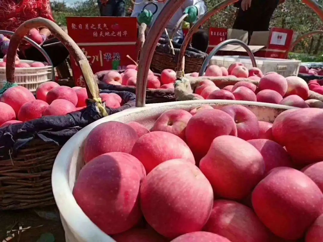 从基地的0.6元到零售11.8元，一个苹果的20倍“暴利”之旅