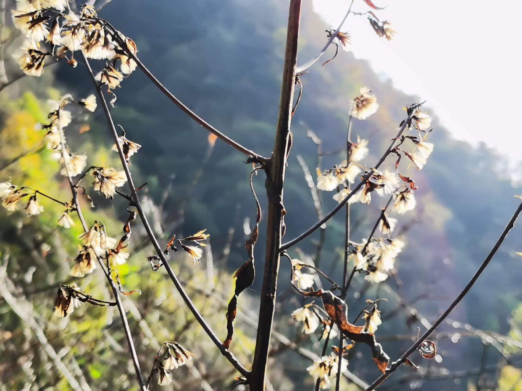 古驿道上的一颗明珠——玉山